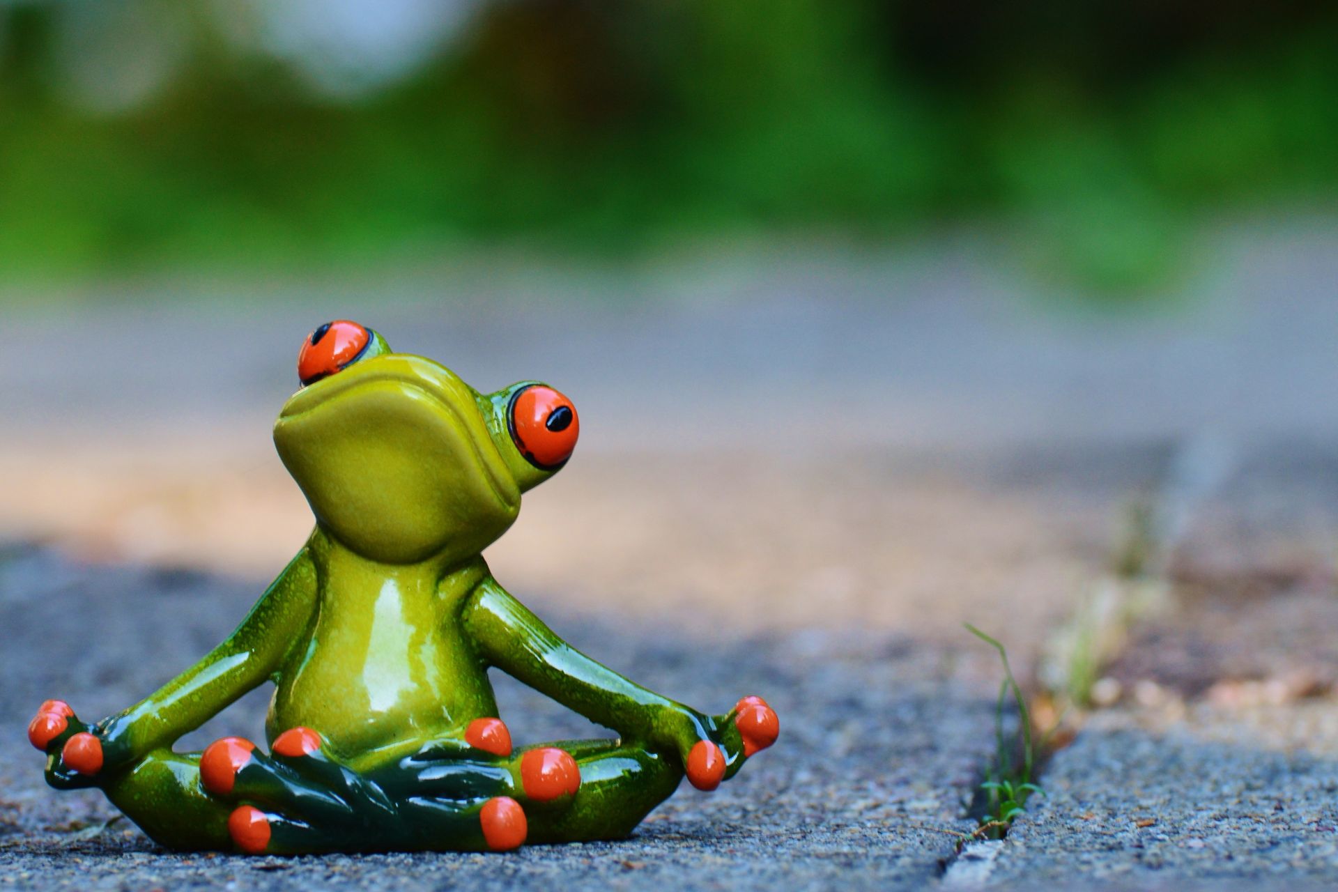 Songs About Frogs
